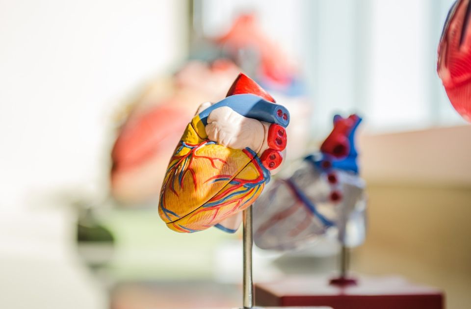 Naučnici pronašli devet vrsta mikroplastike u ljudskom srcu