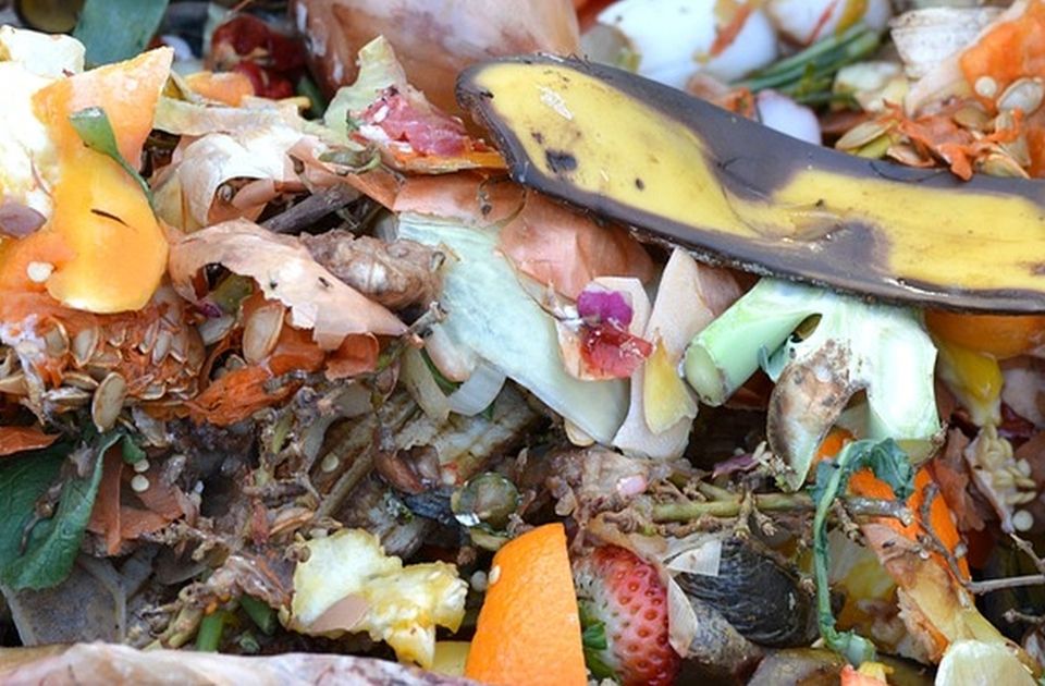 Novosađani, koliko hrane bacate u smeće? Gradska uprava vas poziva da popunite upitnik