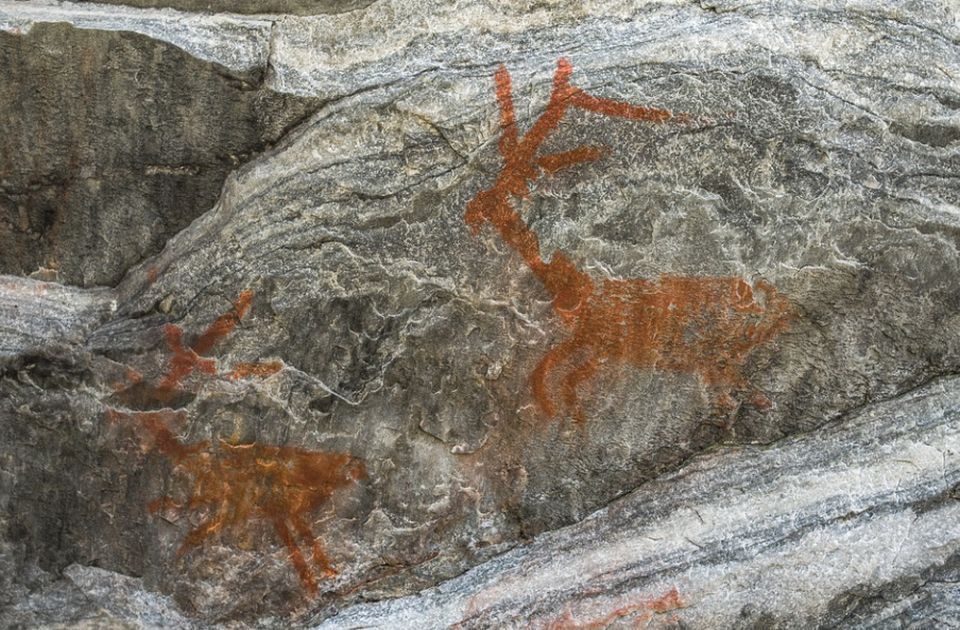 Prvi put pronađen drevni ljudski DNK sačuvan na zidovima pećina