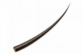 Po prvi put u laboratoriji uzgojeni potpuno funkcionalni folikuli dlake