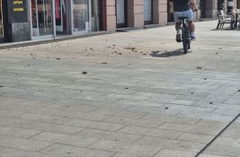 FOTO Olujni vetar u Novom Sadu: Bandera samo što nije pala na Bukovačkom putu, granje na sve strane