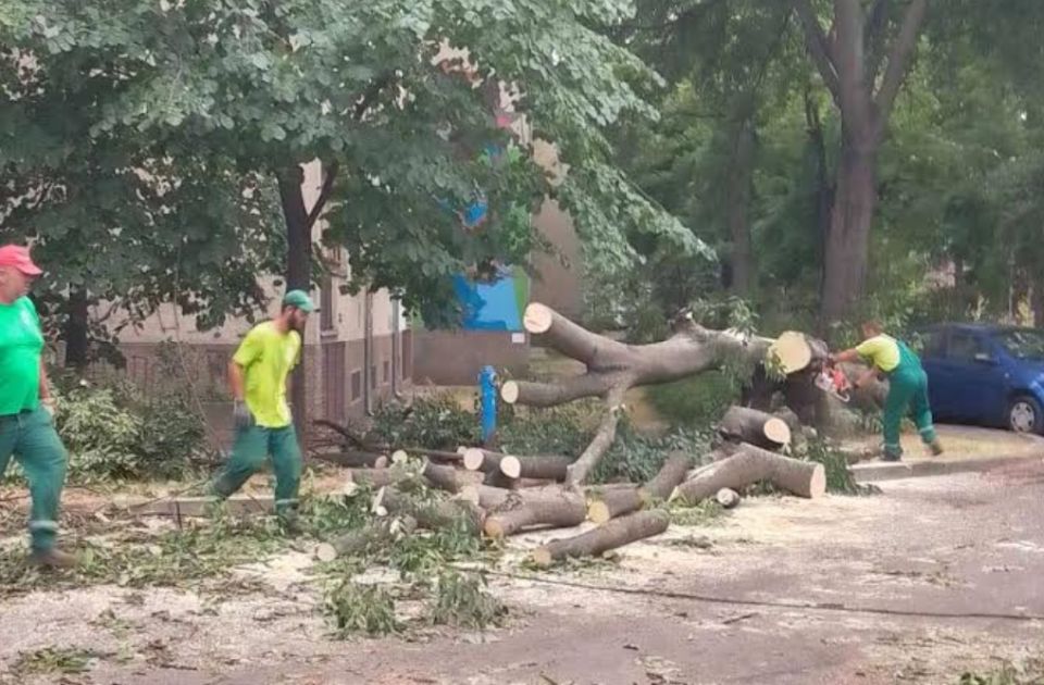 Mićin: Sve službe Novog Sada na terenu i saniraju posledice oluje, građane molim za strpljenje