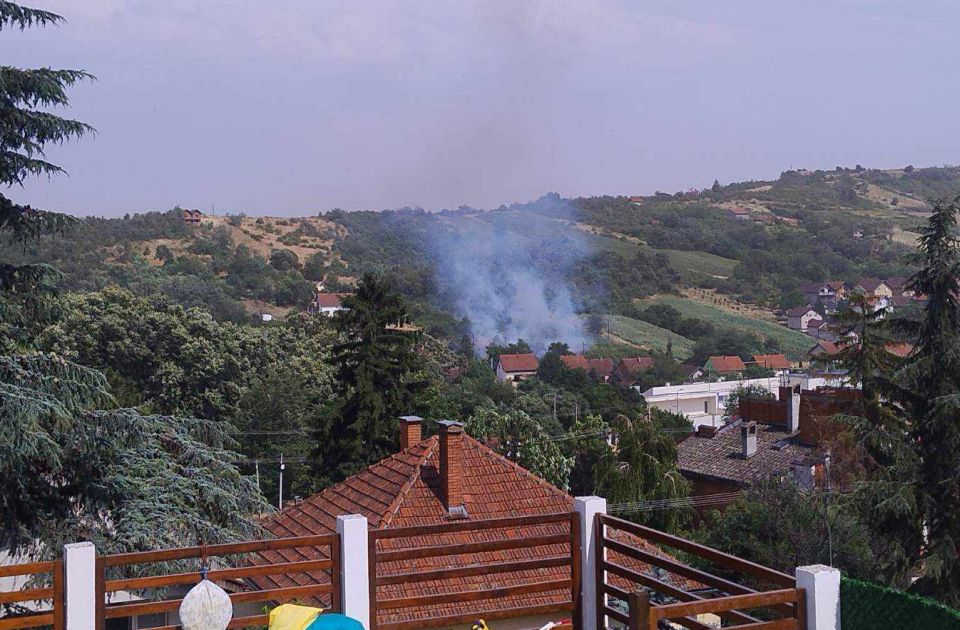 Požar u Sremskim Karlovcima: Vetar otežava gašenje