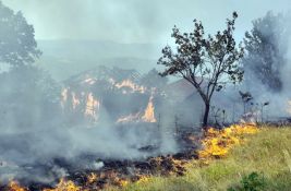 Emisije ugljenika od požara u Srbiji najveće od 2007. godine