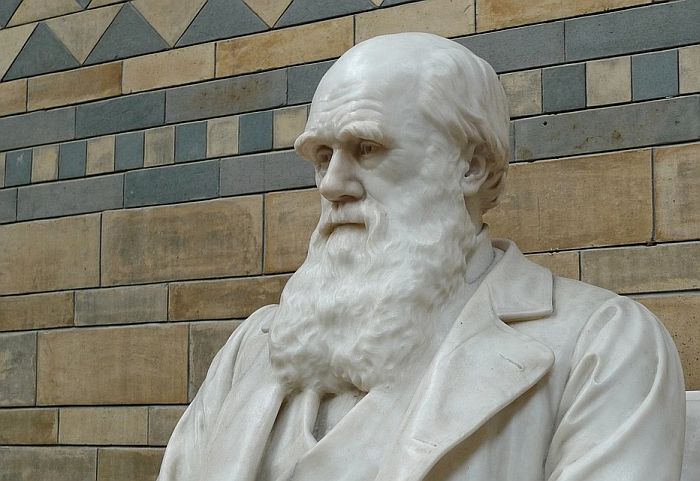 Muzej revidira Darvinovu kolekciju zbog rasno uvredljivih eksponata