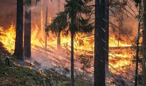 Sve više disajnih problema u Brazilu zbog požara u Amazonu