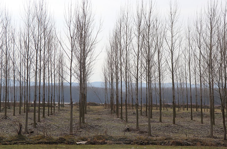 Primedbu na brzu saobraćajnicu do Bezdana podnelo i Šumsko gazdinstvo Sombor
