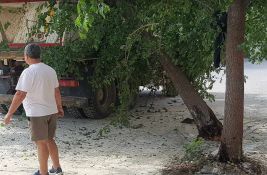 FOTO Građani pišu: Drvo na Podbari izdržalo nevreme, ali ne i kamion - 