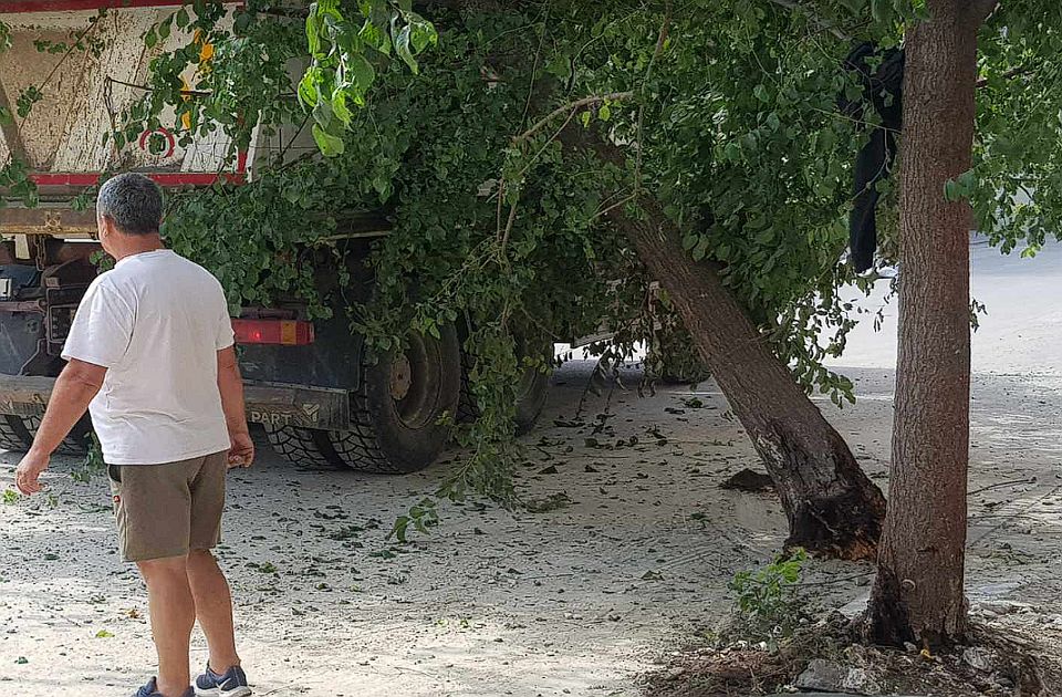 FOTO Građani pišu: Drvo na Podbari izdržalo nevreme, ali ne i kamion - "odmah su ga isekli"