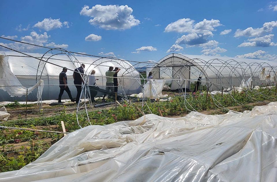 Čenej i Futog pretrpeli štetu zbog nevremena, poljoprivrednici mogu da prijave u mesnim zajednicama