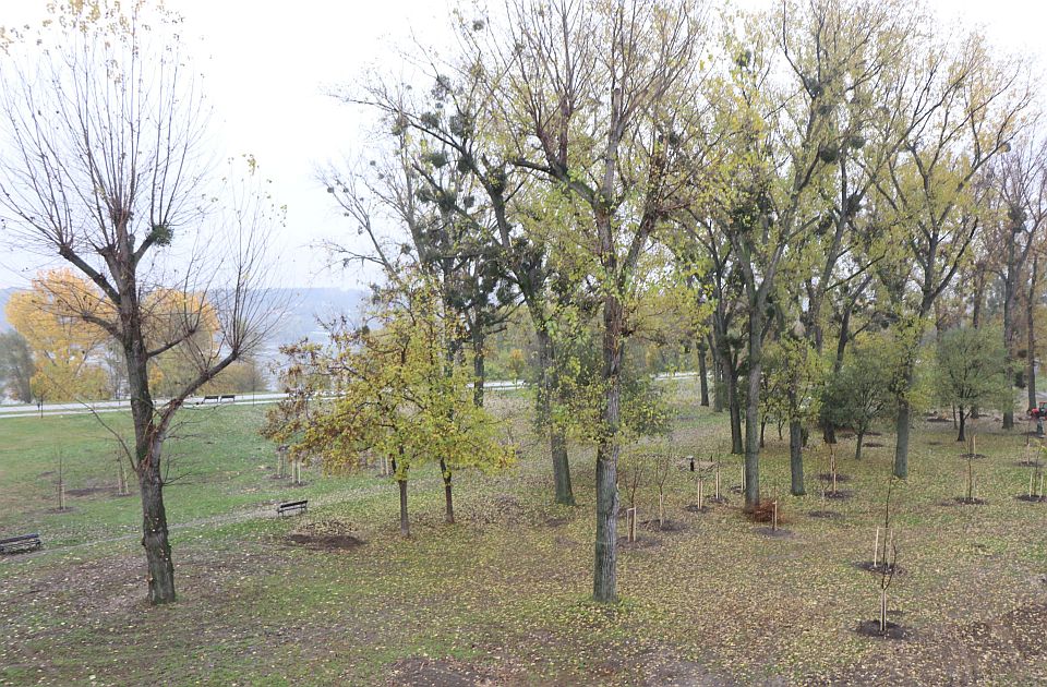 Milionski planovi za Novi Sad u 2023. godini: Parkovi, vrt sećanja, zelenilo iznad garaža...