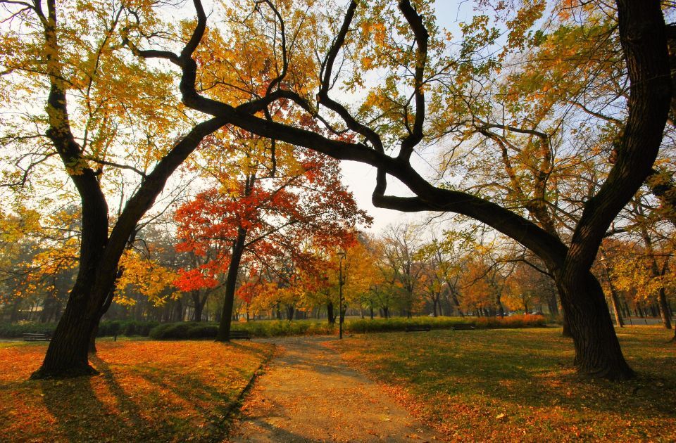 Nedelja pred Novosađanima hladnija, ali uz dosta sunca