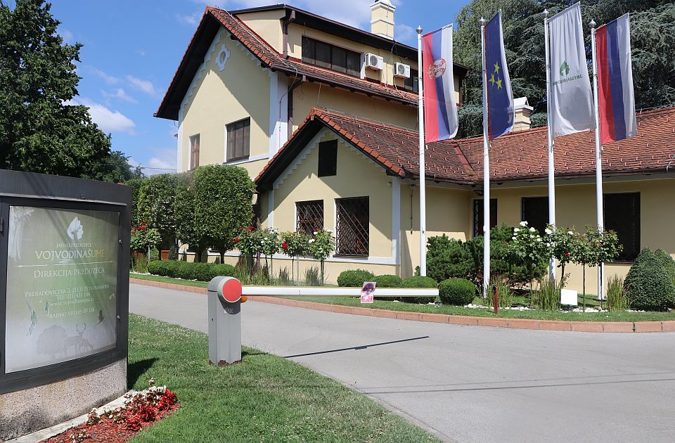 Raspisan konkurs za direktora "Vojvodinašuma"