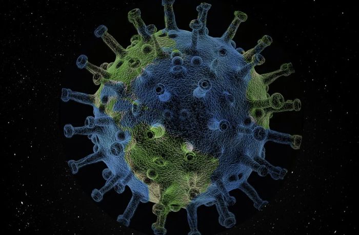 Naučnici: Zemlja drugačije vibrira zbog karantina i pandemije