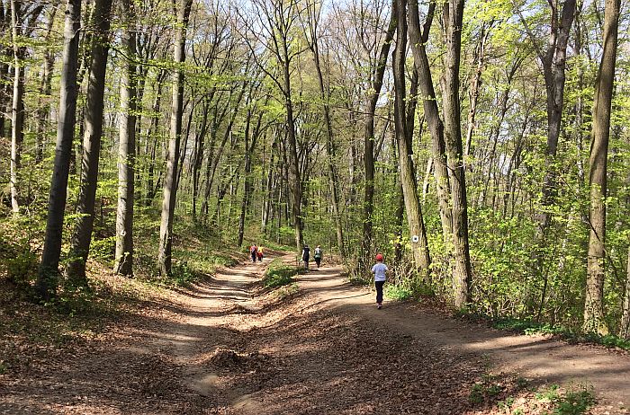 Fruškogorski maraton danas i sutra