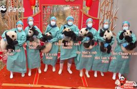 VIDEO: Bebe pande debitovale na televiziji - u čast kineske Nove godine