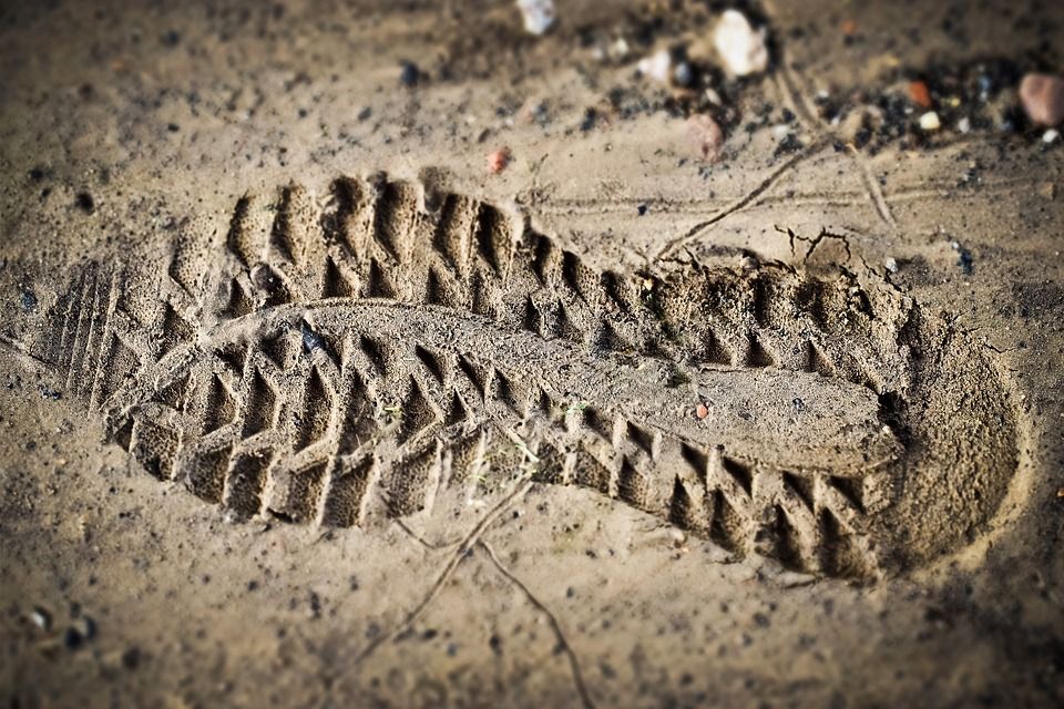  Rukavice od jagnjeće kože i Adidas patike za 