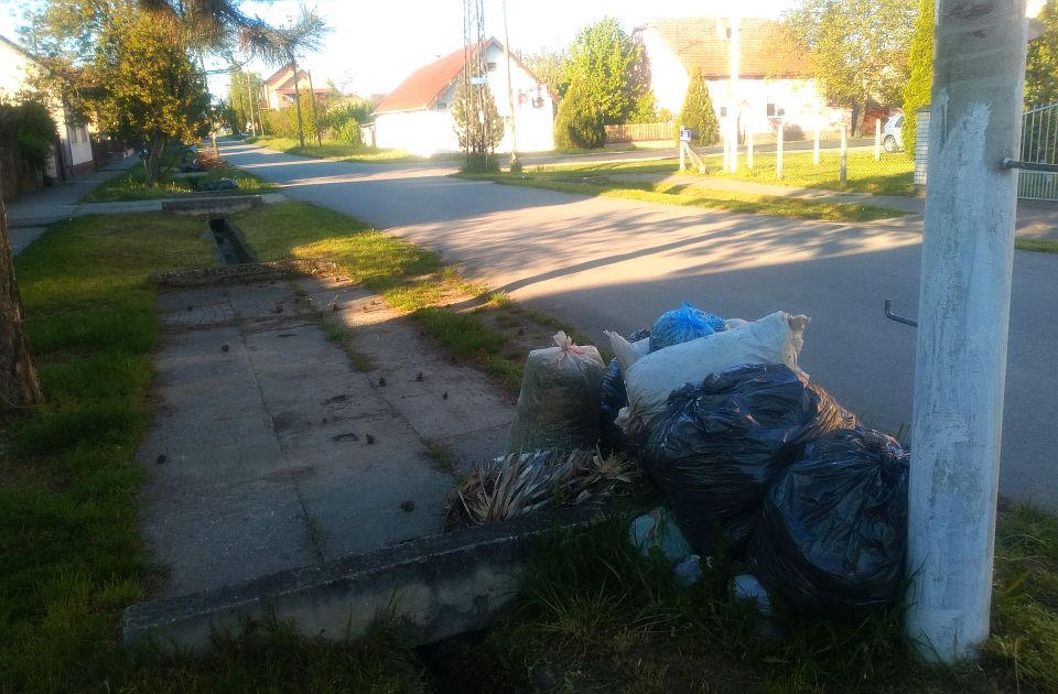 FOTO: Baštenski otpad se nedeljama gomila na ulicama Novog Sada i prigradskih naselja, u "Čistoći" poručuju da nemaju dovoljno radnika