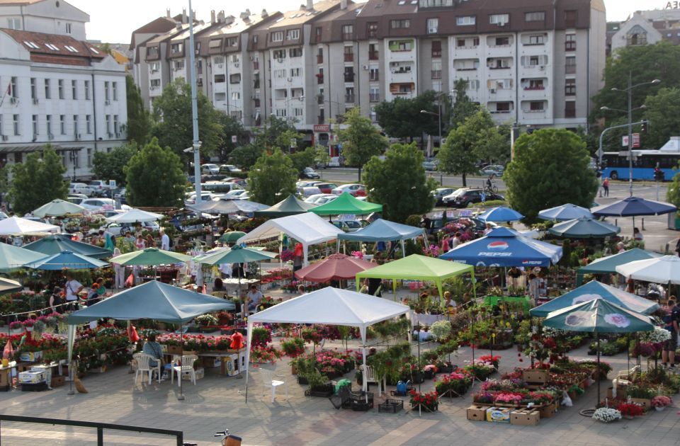 Novo izdanje Novosadske cvetne pijace u petak i subotu kod Spensa