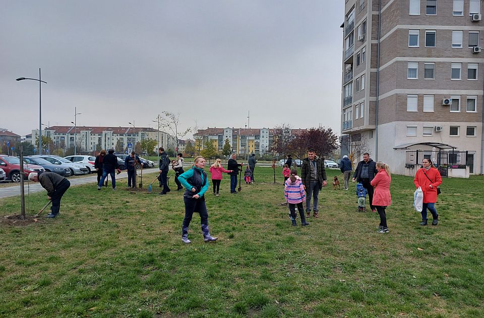 FOTO Građani zasadili drveće gde urbanisti žele da "posade" zgradu: Devetospratnice na Novom naselju