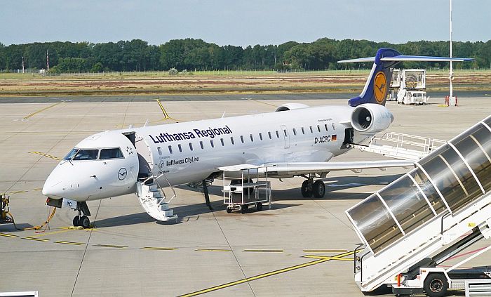 Psima, lisicama i pticama grabljivicama sprečavaju sudare na aerodromima