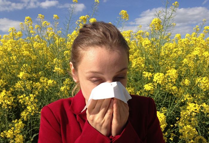 Sve više ljude ima problema sa alergijama