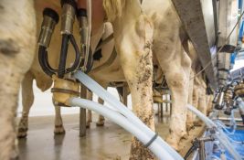 FOTO: Farmeri širom Srbije prosipali mleko jer su im prevoznici otkazali prevoz do mlekara