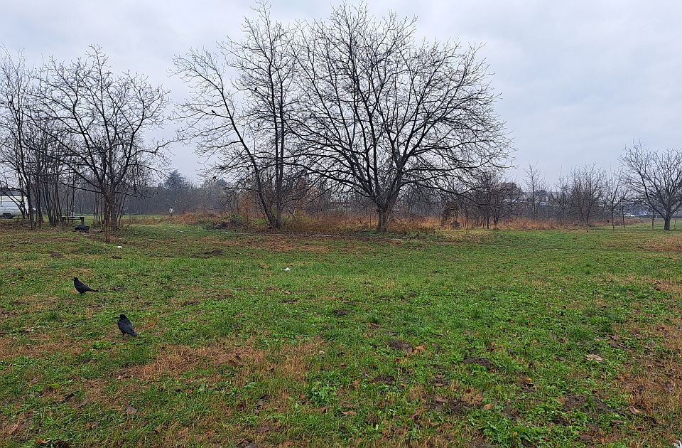 Površina za park na Telepu se dodatno smanjila, vlast se ipak hvali