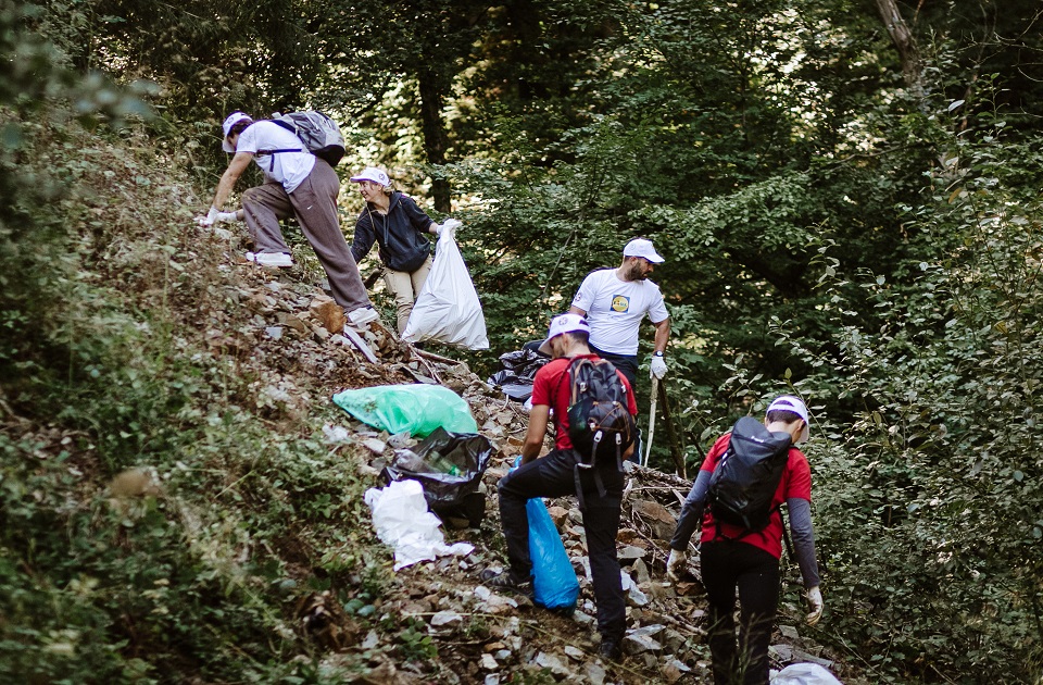Prilika za novosadska udruženja: Besplatna ekološka radionica i do 1.500 evra podrške za akciju čišćenja