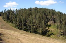 Ulazak na Zlatibor će se naplaćivati