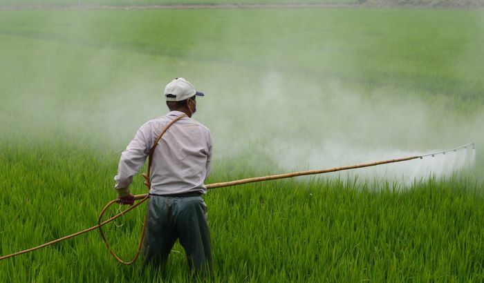 Obolelom od raka "Monsanto" treba da plati 290 miliona dolara