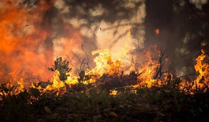 Bukti požar kod Omiša, zatvoren deo Jadranske magistrale