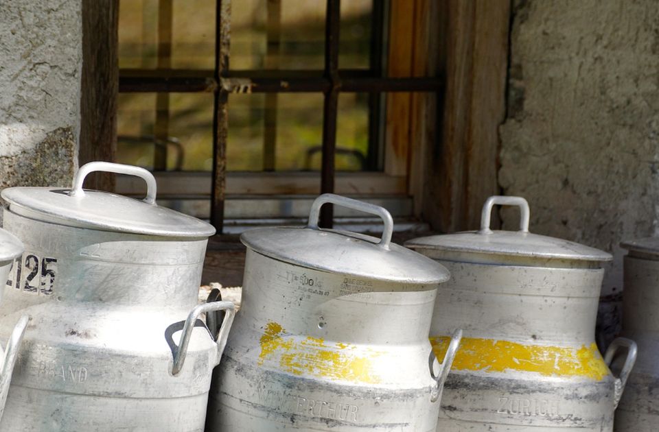 Premijer Macut: Dijalog jedini put za rešavanje krize mleka u Srbiji