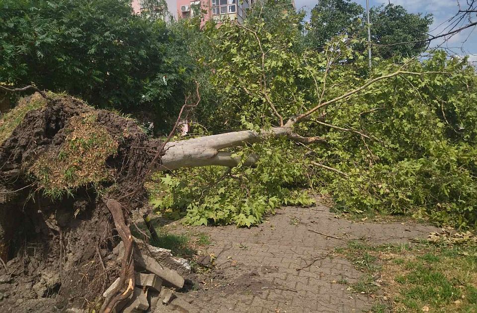 Mirović: Beograd ustupio 10 vozila, Subotica tri za saniranje štete u Novom Sadu