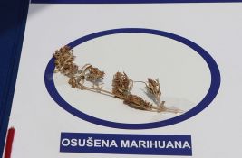 Uhapšen novosadski diler: Policija mu u kolima i stanu pronašla 27 paketića marihuane i vagicu