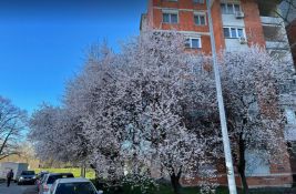 Lep dan pred Novosađanima: Biće dosta sunca i toplo