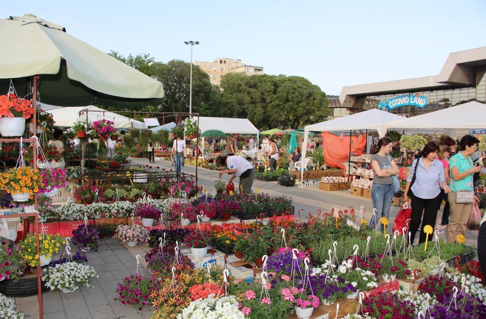 Druga prolećna Novosadska cvetna pijaca u petak i u subotu 