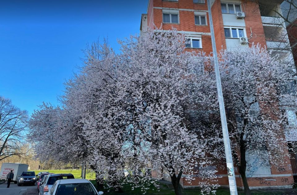 Lep dan pred Novosađanima: Biće dosta sunca i toplo
