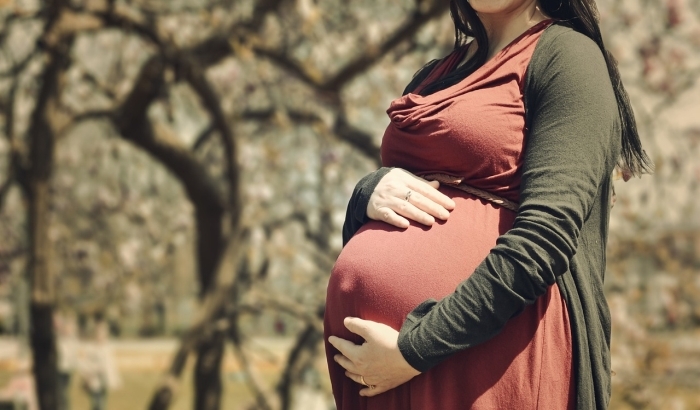 Srbija uvodi surogat-materinstvo