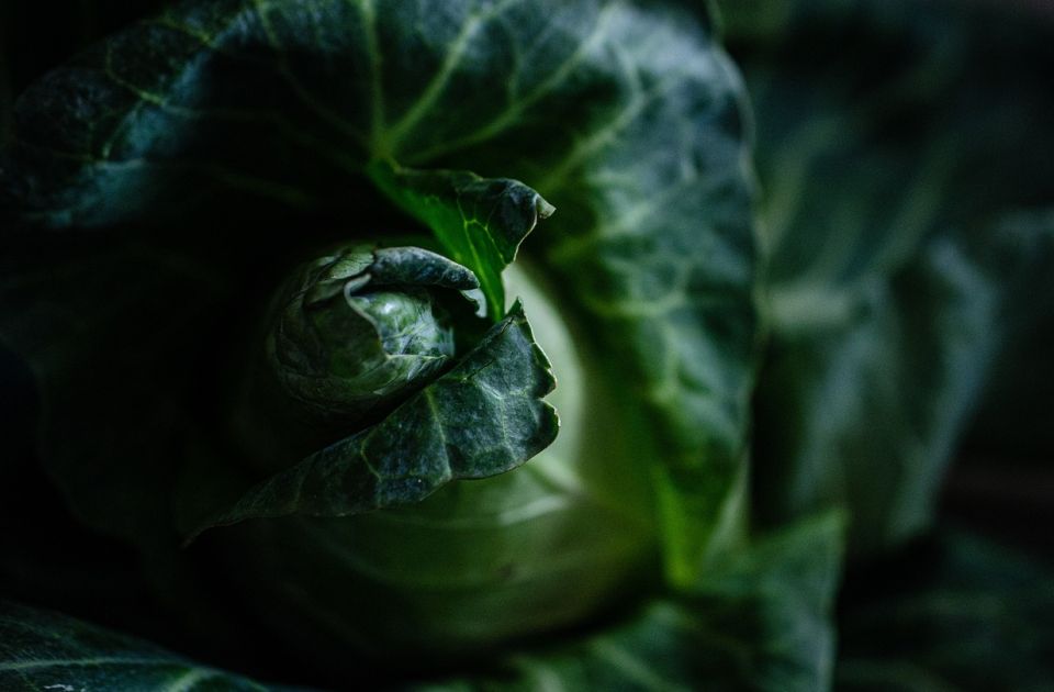 Osam najzdravijih povrća bogatih vlaknima, vitaminima i antioksidansima