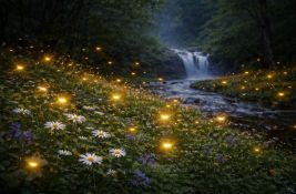 VIDEO: Priroda možda pulsira u univerzalnom ritmu - dva otkucaja u sekundi