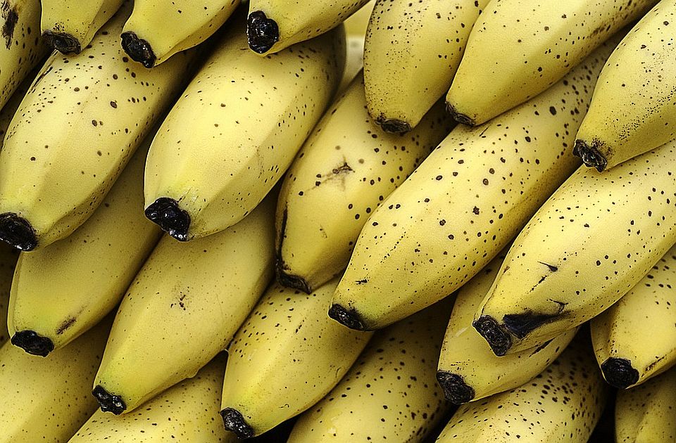 U Crnoj Gori uništeno 20 tona banana zbog pesticida koji je u Srbiji dozvoljen za šećernu repu