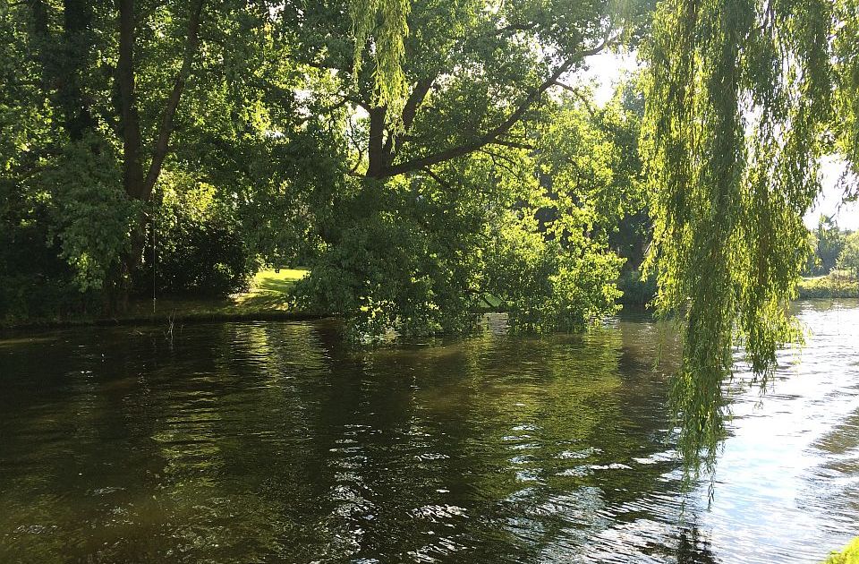 Nedelja u Novom Sadu veoma topla, od ponedeljka "prijatnih" 30 stepeni
