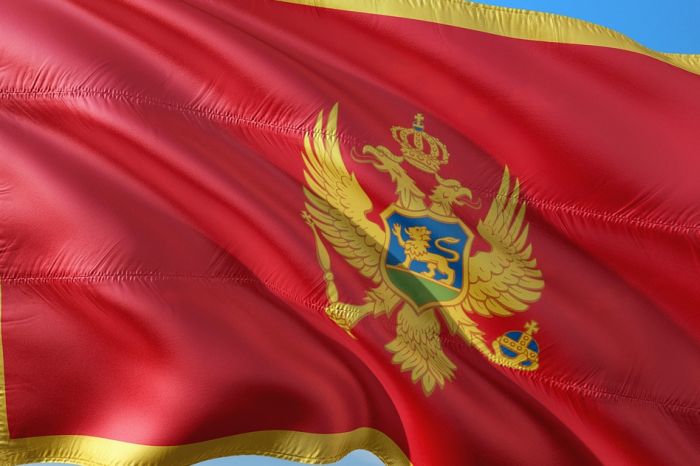 U Crnoj Gori inicijativa za "Pavlov zakon" po ugledu na "Tijanin zakon"