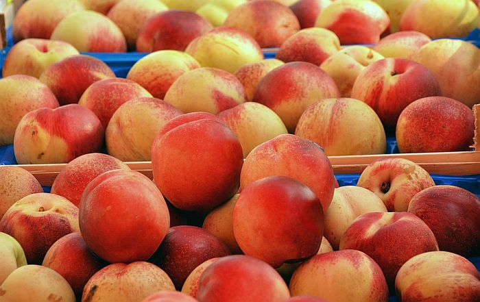 Ponovo dozvoljen izvoz koštičavog voća u Rusiju