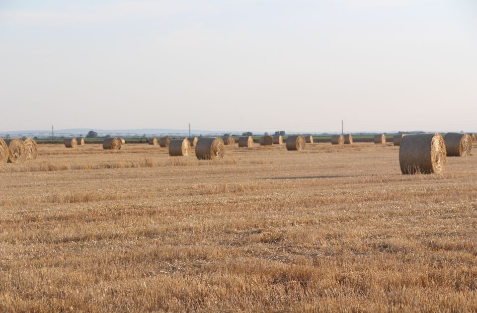 Udvostručiti agrarni budžet 