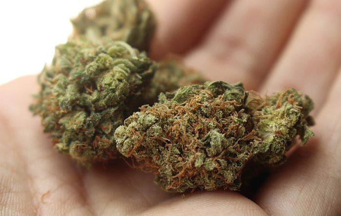 Kanada legalizovala marihuanu