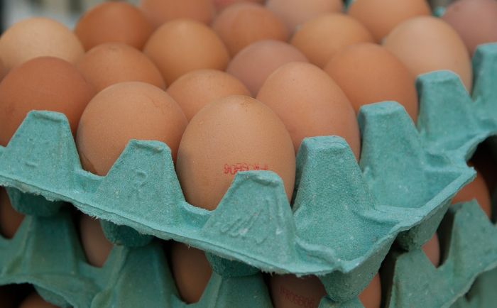 Bugari povlače više od milion jaja iz prodavnica zbog ptičjeg gripa