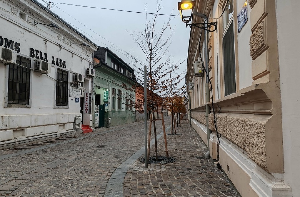 Nova imena ulica u Novom Sadu: Plato četiri krajcare i ulica studentkinje stradale u 