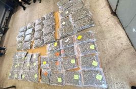 FOTO: Na prelazu Šid zaplenjeno 43 kilograma marihuane i uhapšena jedna osoba